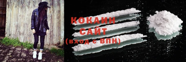 крисы Майский