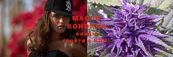 крисы Майский