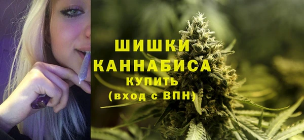 крисы Майский